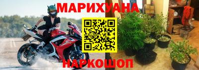 прущие крисы Коммунар